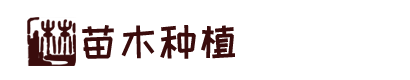 BOB半岛·(中国)体育官方网站-BOB BanDao Sports